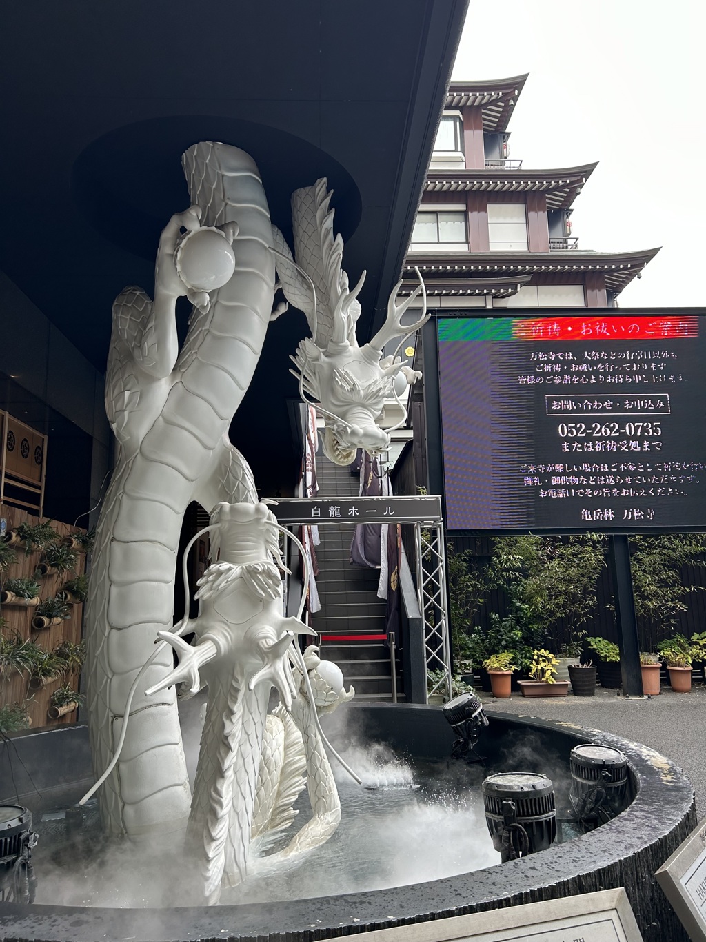 白龍