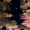 月が・・・