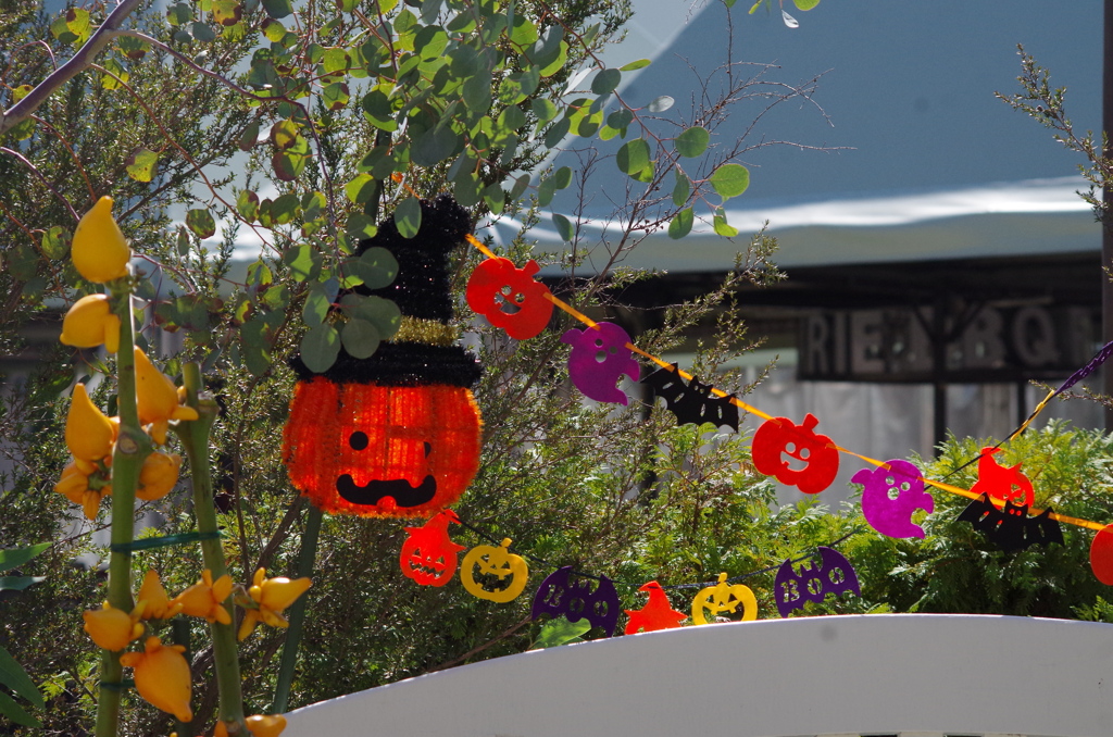ハロウィン２
