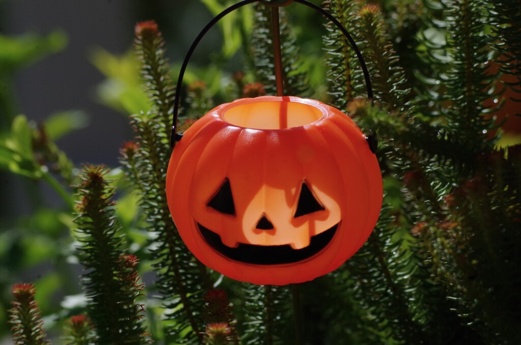 ハロウィン