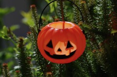 ハロウィン