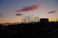 冬空