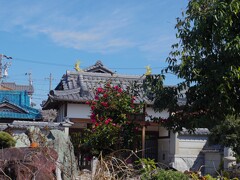 普通のお宅に・・・金の鯱