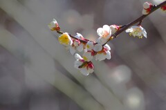 光の中で・・・