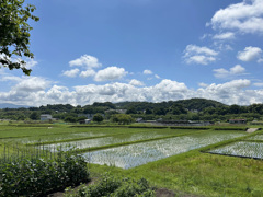 田園風景２