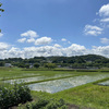 田園風景２