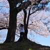 桜の木の下で