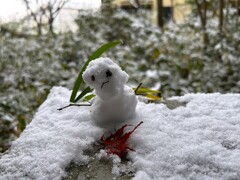 小さな雪だるま