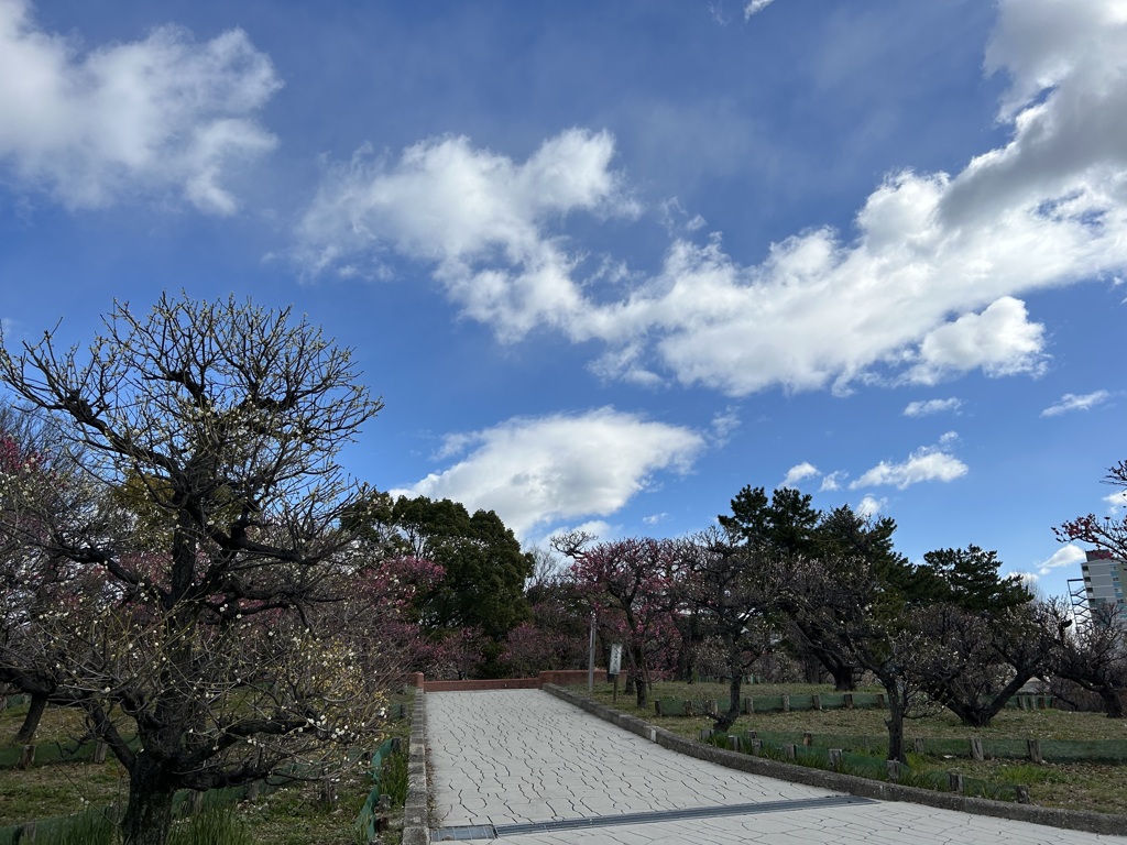 青空