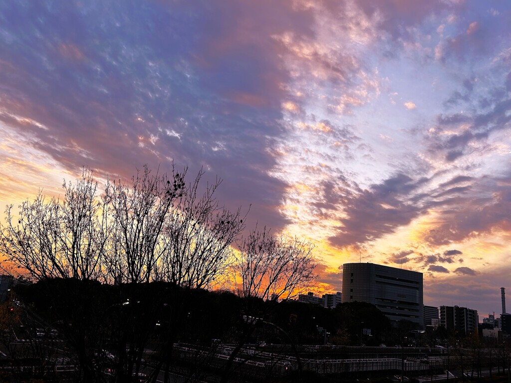 今日の空