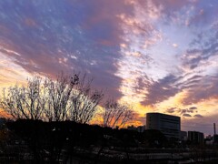今日の空