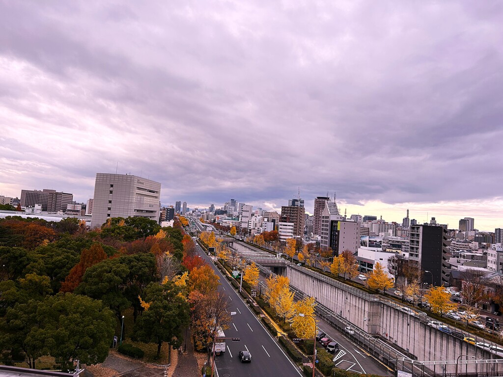 最後の紅葉・・・