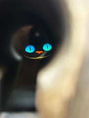 カギ穴を覗いたら・・・目がキラッと