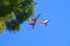 頭隠して 頭隠して