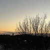 夕景