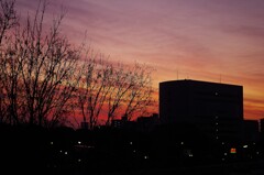今日の夕空