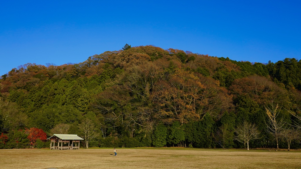 紅葉と少年