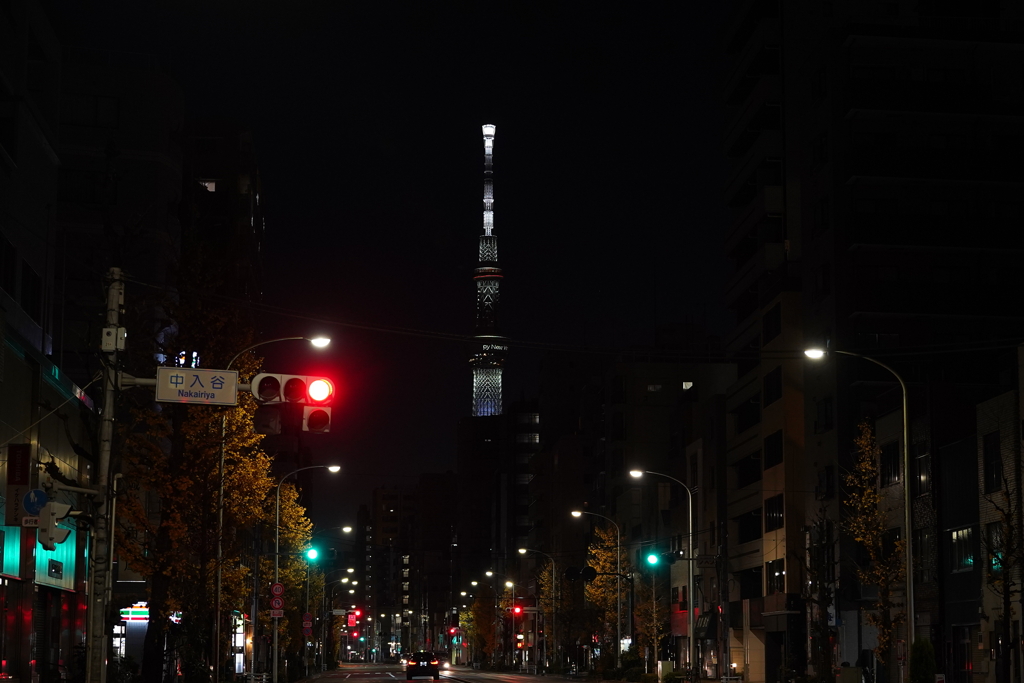 1月1日 午前5時49分