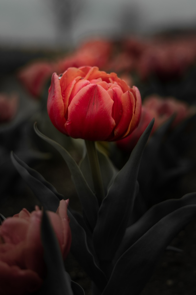 7F8B3088-A71B-4A03-ABD2-F6248588C29D