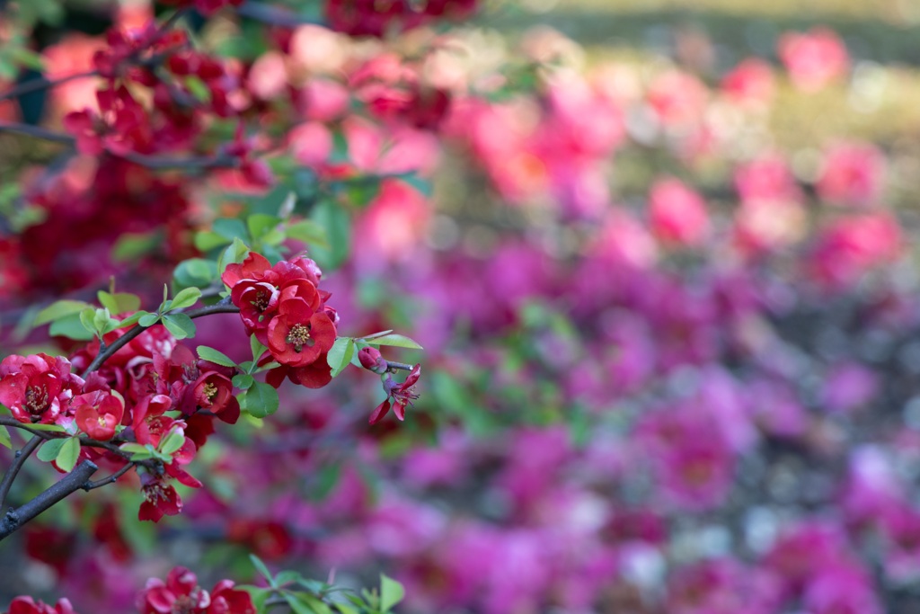 574DB0D7-69CF-4464-82A4-9D7711888D02