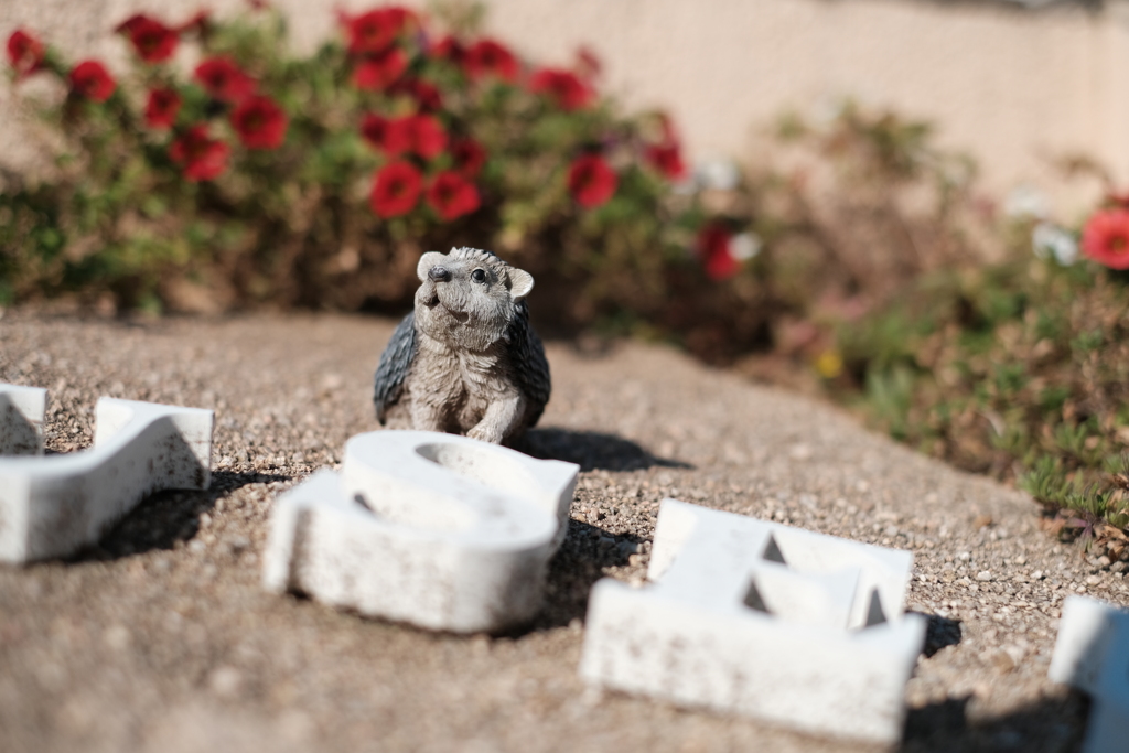 フラワーガーデンにて