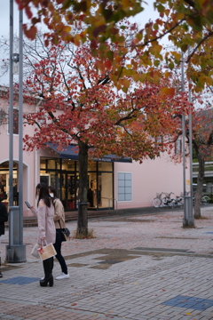 街の紅葉(5)