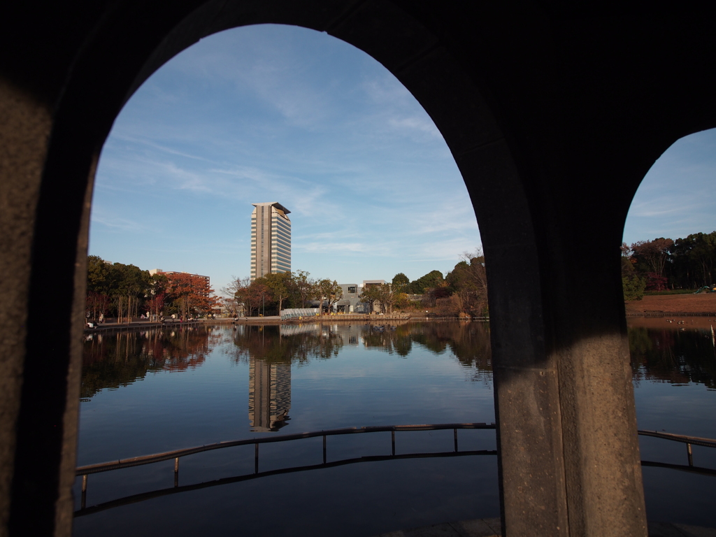 多摩市立中央公園