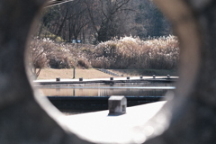 南大沢 長池公園②