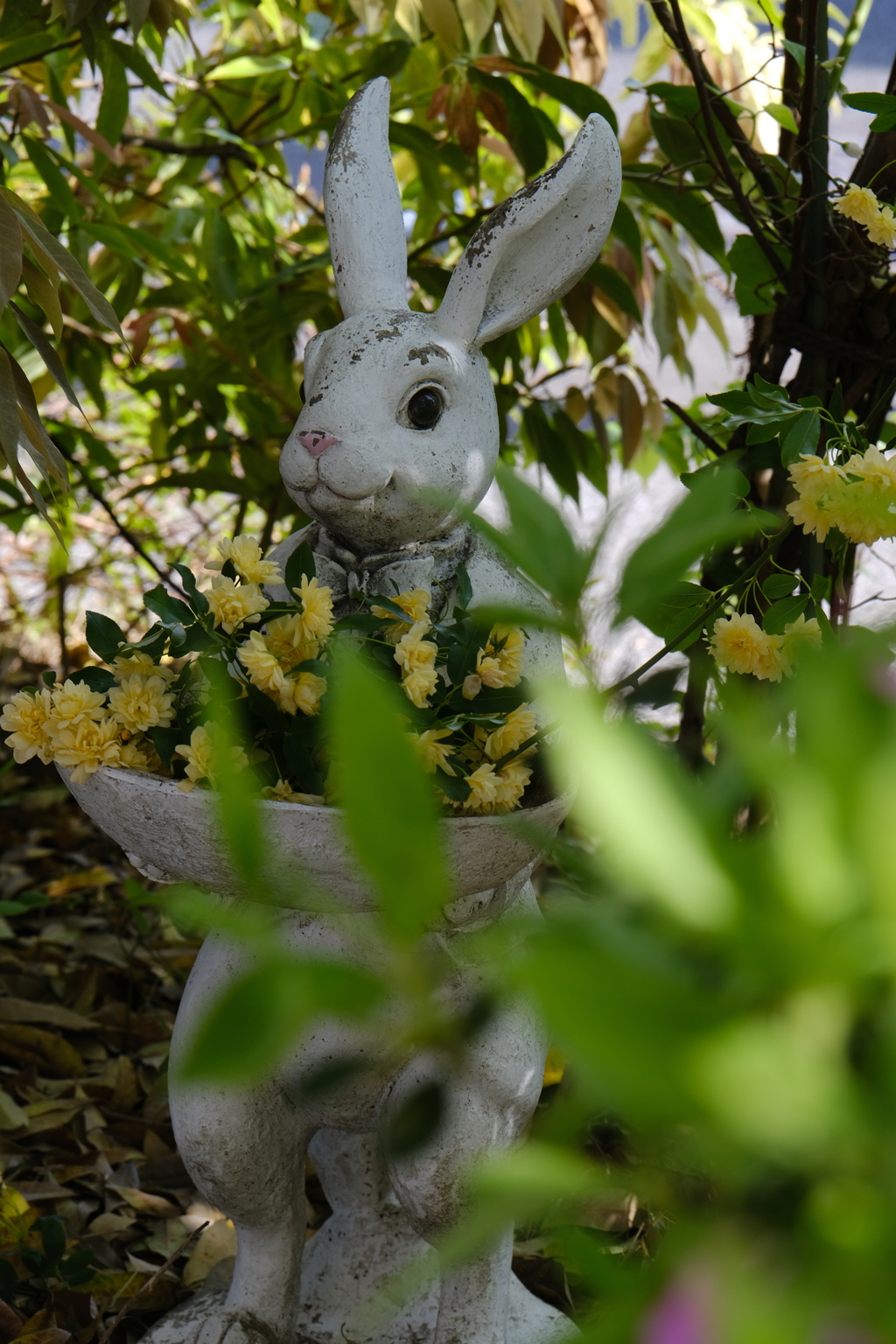 花を抱える兎