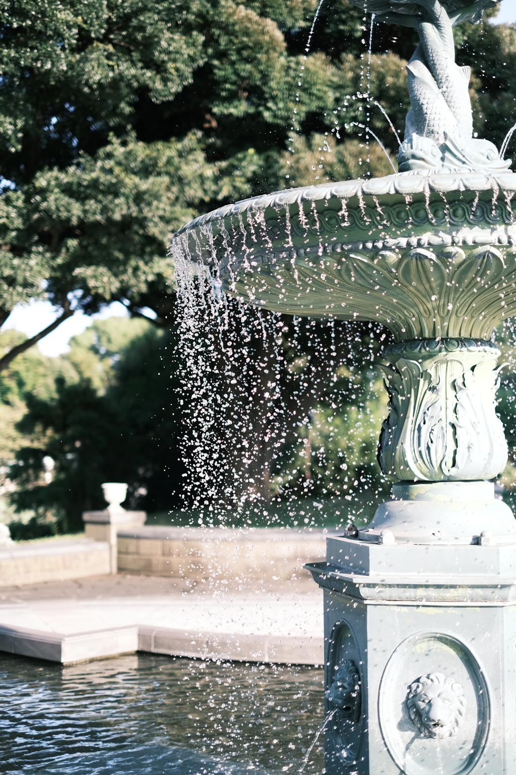 ローズガーデン水場