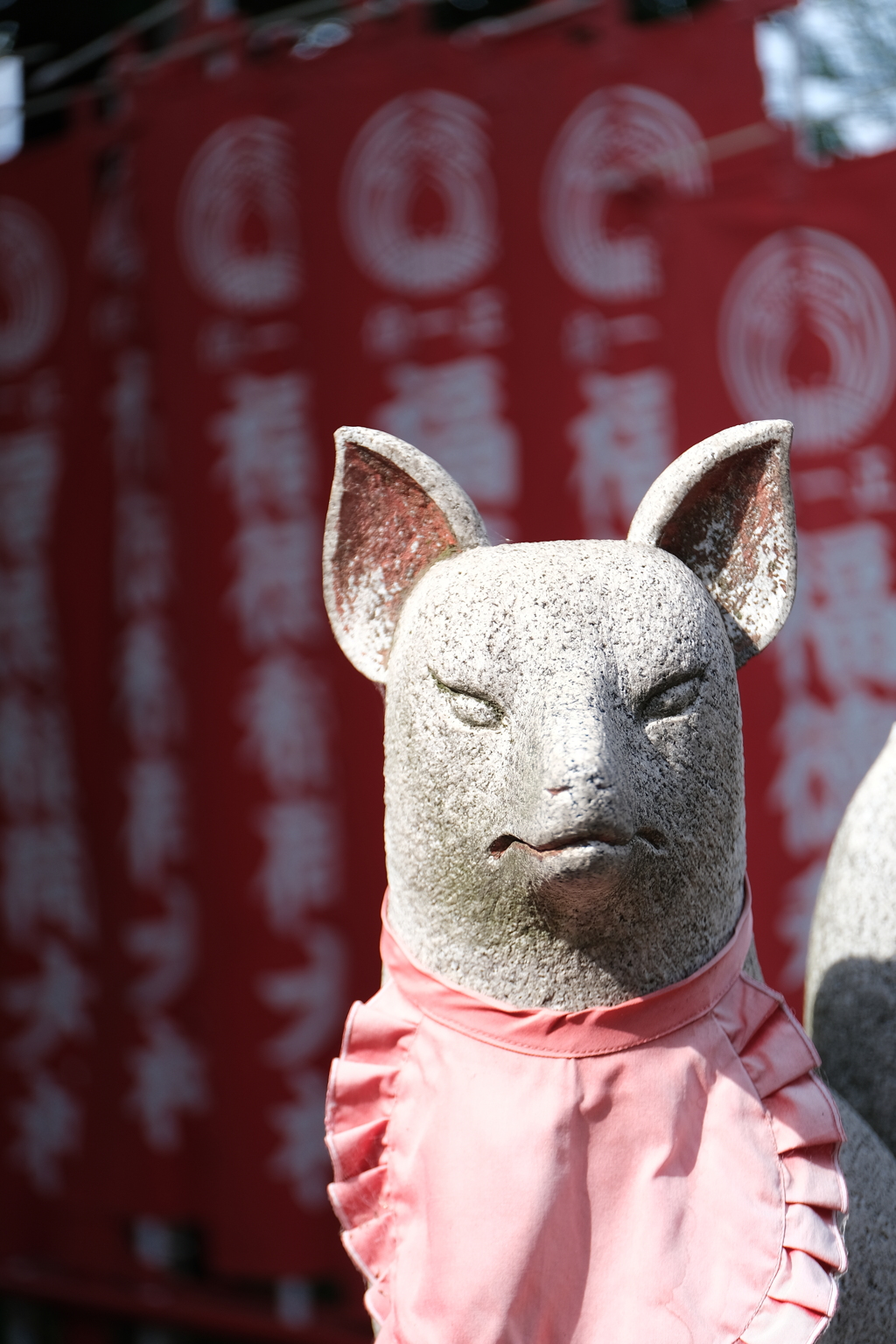 氷川神社 狛狐
