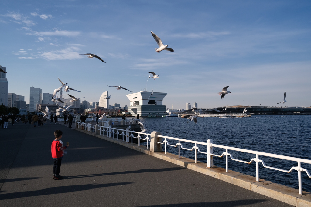 横浜港