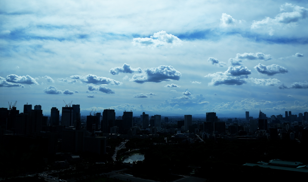THE TOKYO