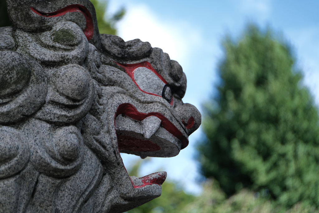 氷川神社 狛犬