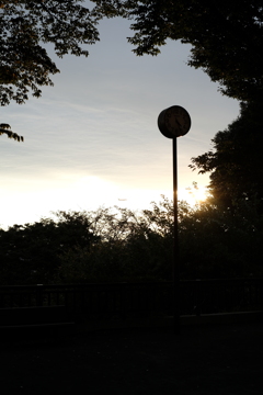 富士見第二公園にて