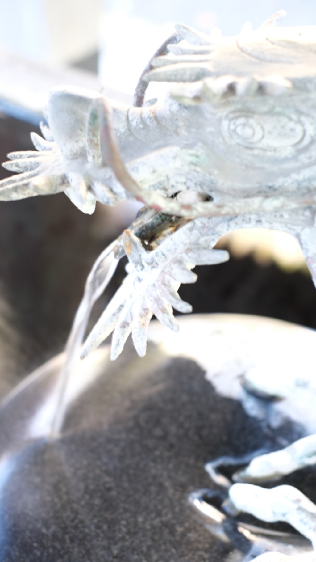 修善寺手水舎の龍