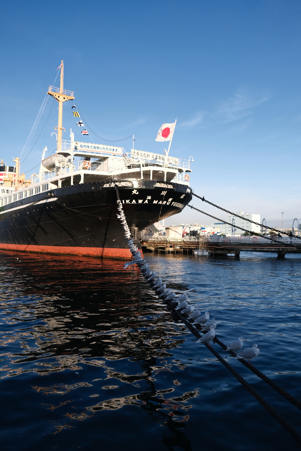 氷川丸と並ぶかもめ