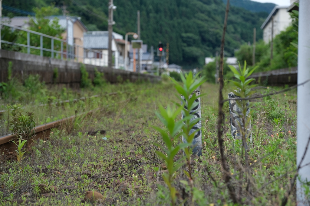 日南線の風景
