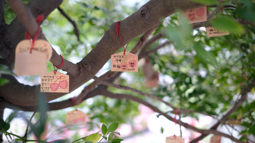 熱川お湯かけ弁財天