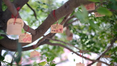 熱川お湯かけ弁財天