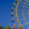 華蔵寺公園観覧車