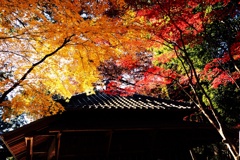 秋の平林寺