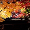 秋の平林寺