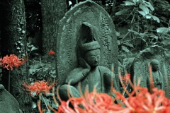 野仏と彼岸花（Ⅱ）