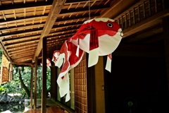 軒下の空飛ぶ金魚