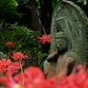 野仏と彼岸花