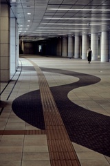 蛇行の路