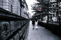 金の成る路