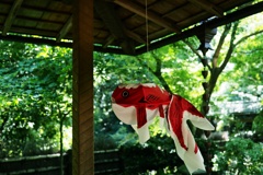 軒下の空飛ぶ金魚（Ⅱ）