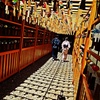 涼音の小径